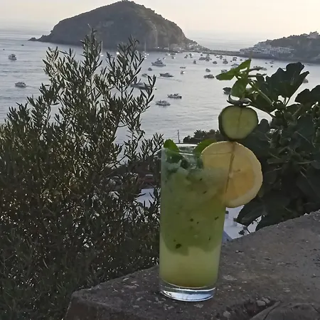 Alojamento de Acomodação e Pequeno-almoço Casa Antonio